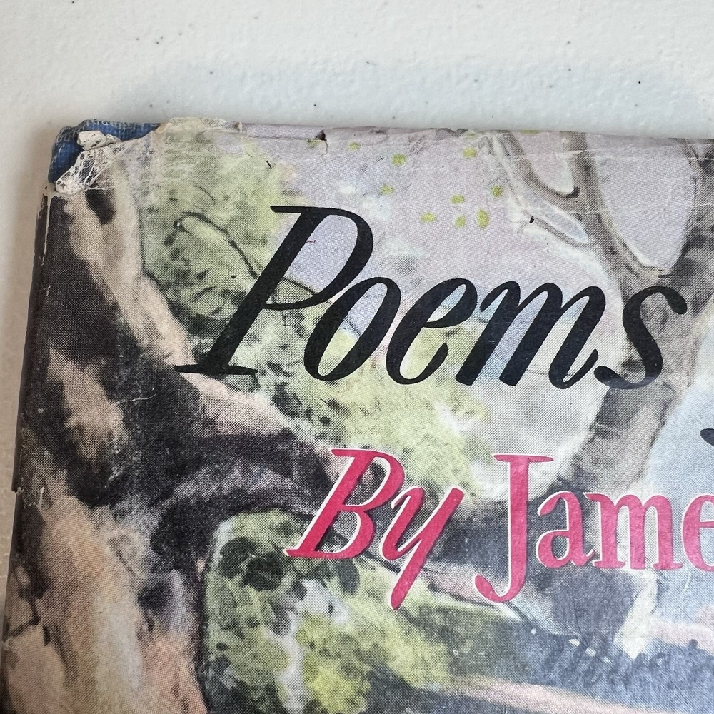 Vintage POEMS of Chilhood James Whitcomb Riley Childrens BOOK Everett Shinn 1943 - Picture 5 of 16